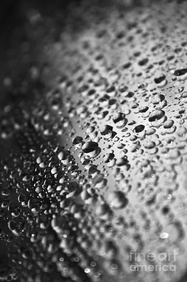 Black Photograph - Water Drops On Surface by Dan Radi