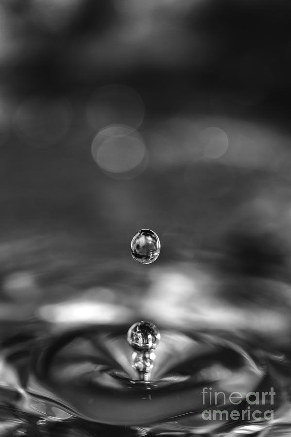 Water drops rebound Photograph by Paul Cowan