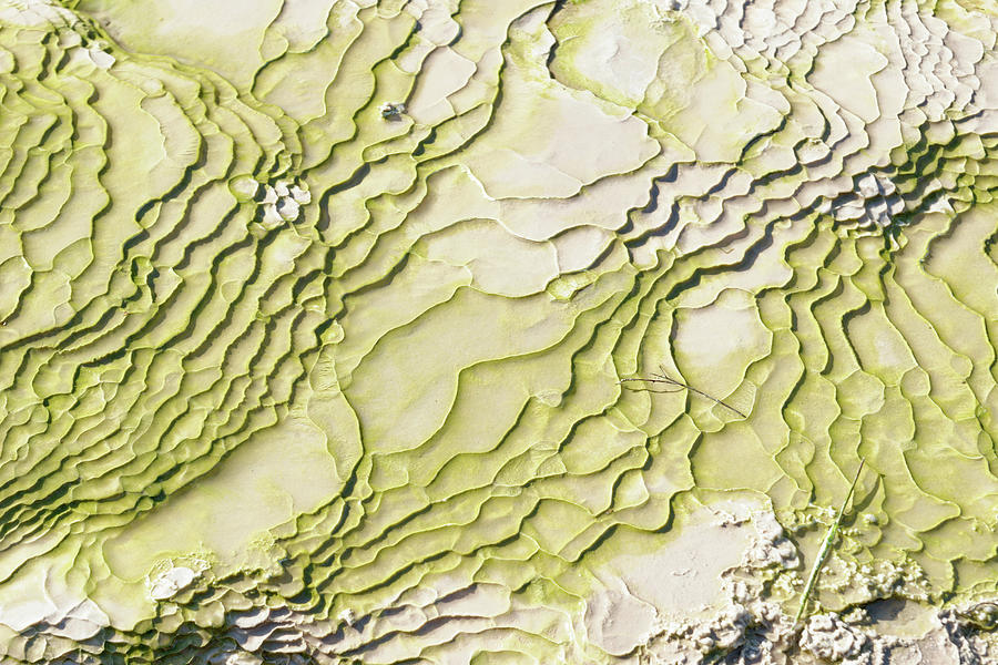 Water Eroding Rocks, Waiotapu Thermal Photograph by Marco Simoni