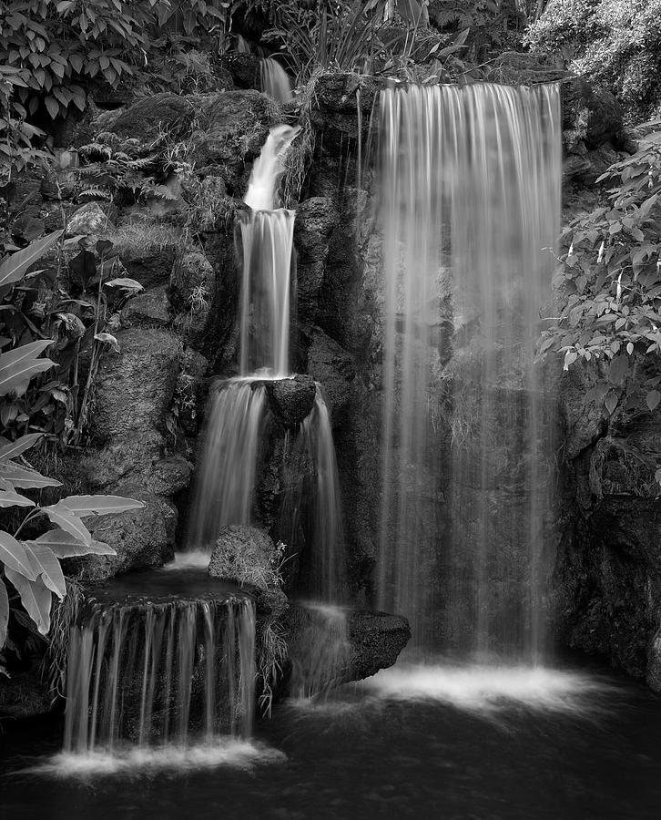 Water Fall 4 Photograph by Richard J Cassato