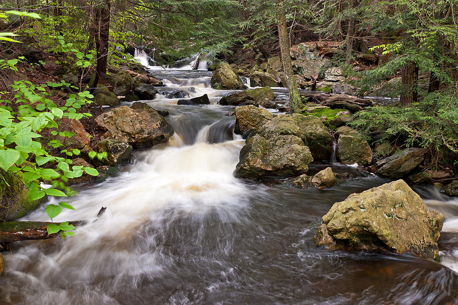 Ricketts Glen River Photograph by Greg McGill - Pixels