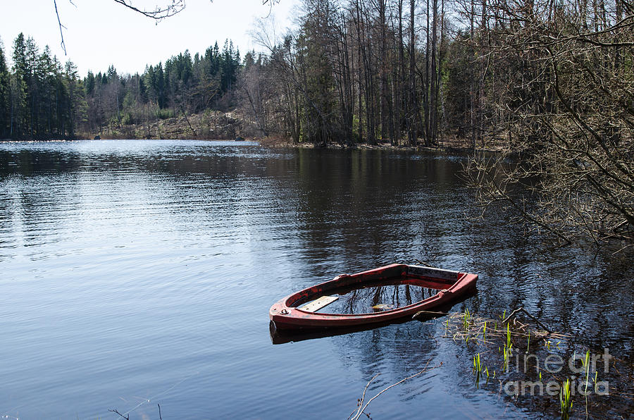 Nature Photograph - Water filled rowboat by Kennerth and Birgitta Kullman