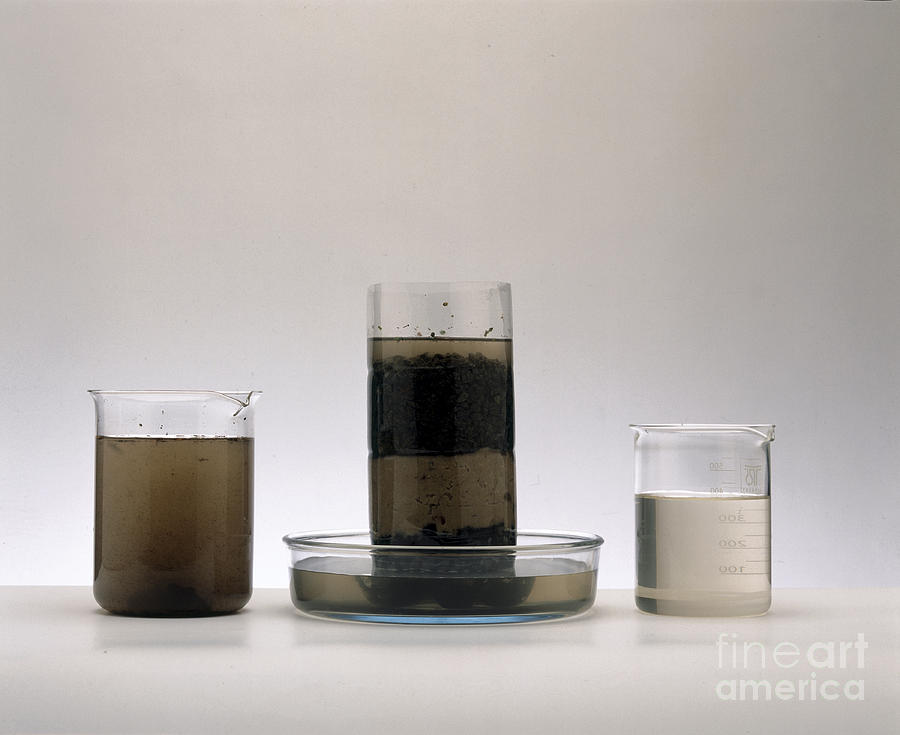 Water Filtration Photograph by Trish Gant / Dorling Kindersley