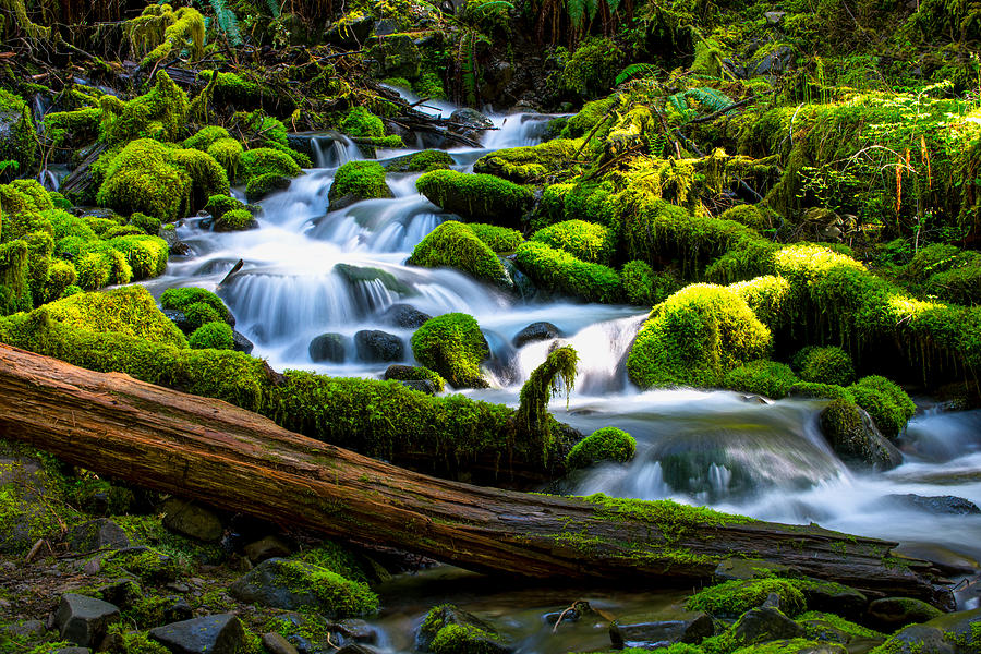 Water flow in Mossy rocks-1 Photograph by Hisao Mogi