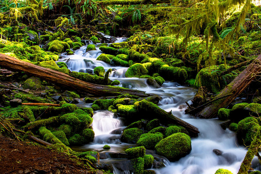 Water flow in Mossy rocks-2 Photograph by Hisao Mogi