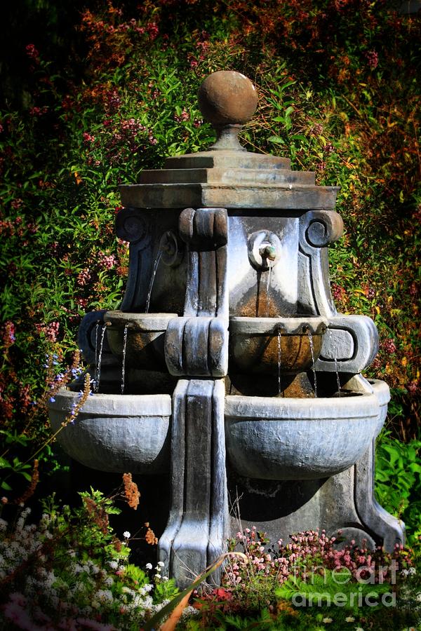 Water Fountain Photograph