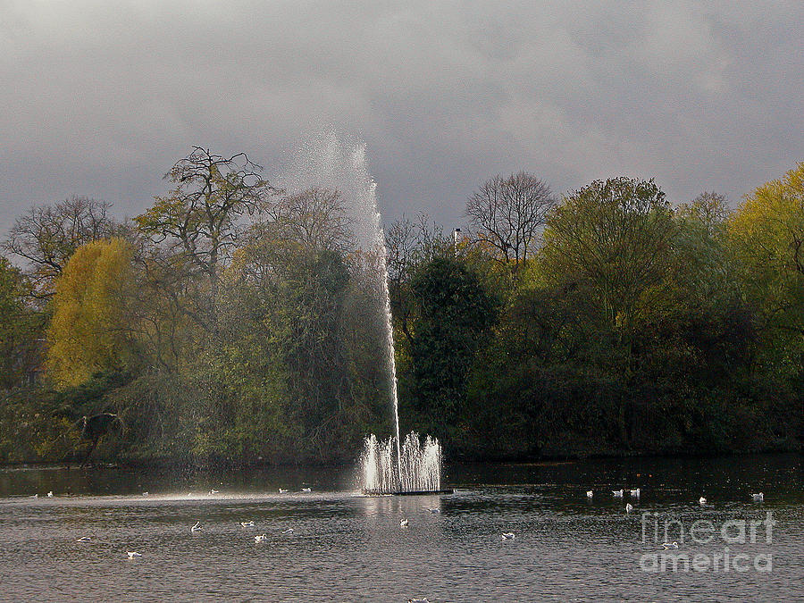 Fountain Photograph - Water fountain by Richard Morris