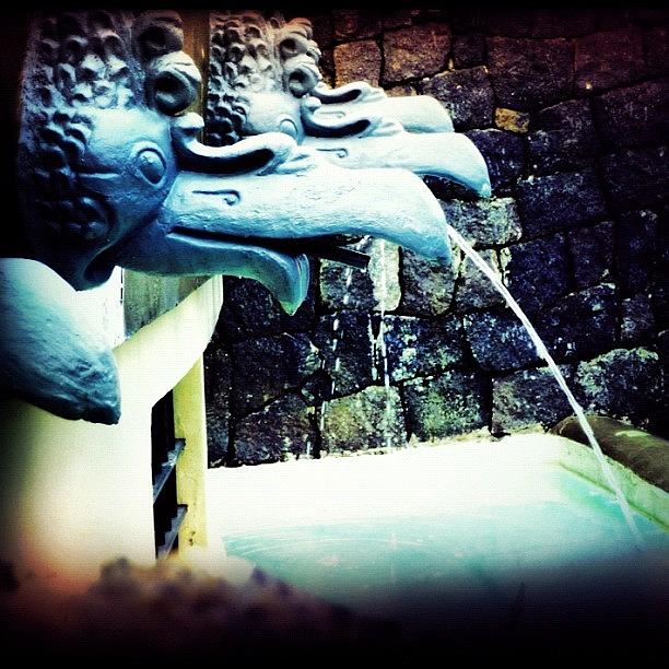 San Jose Photograph - Water Fountains by Ben Vess