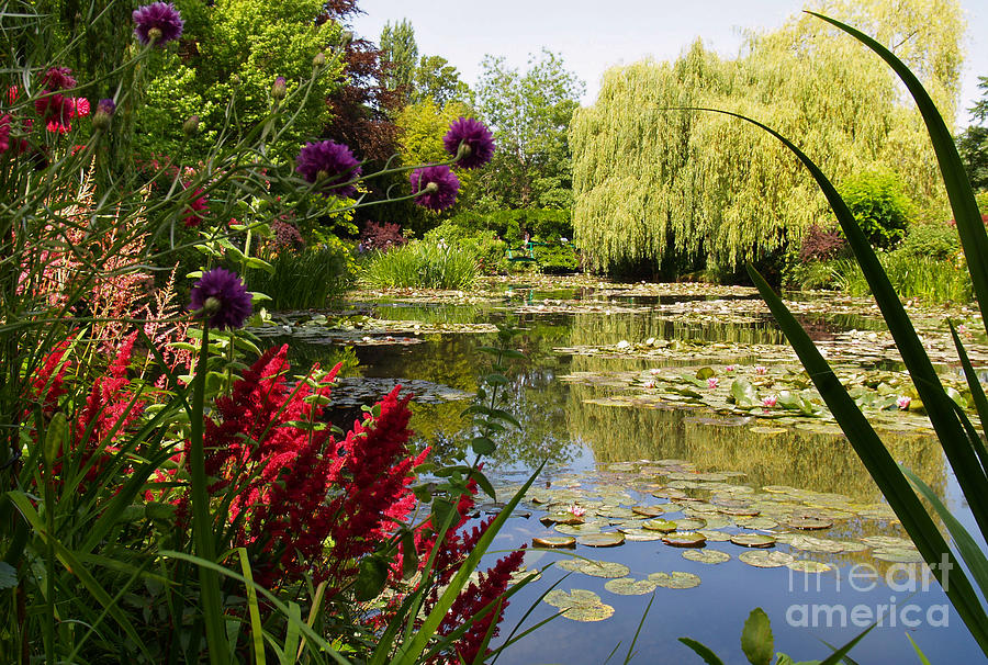 Claude Monet Photograph - Water Garden 2 at Giverny by Alex Cassels