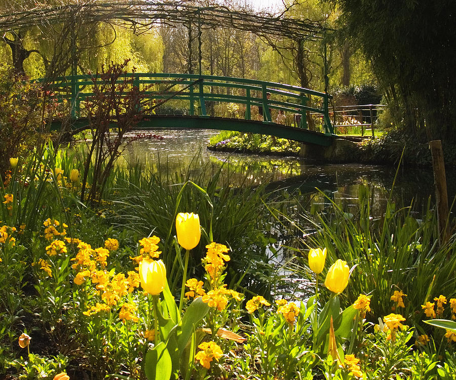 Claude Monet Photograph - Water garden at Giverny by Rachel Down