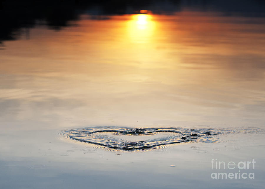 Water heart ripple Photograph by Tim Gainey