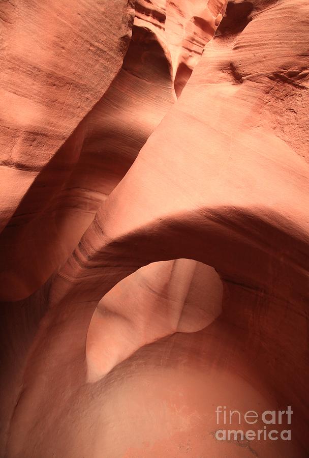 Us National Parks Photograph - Water Holes In The Slots by Adam Jewell