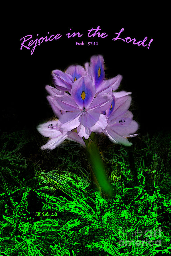 Water Hyacinth - Psalm 97 Digital Art by E B Schmidt