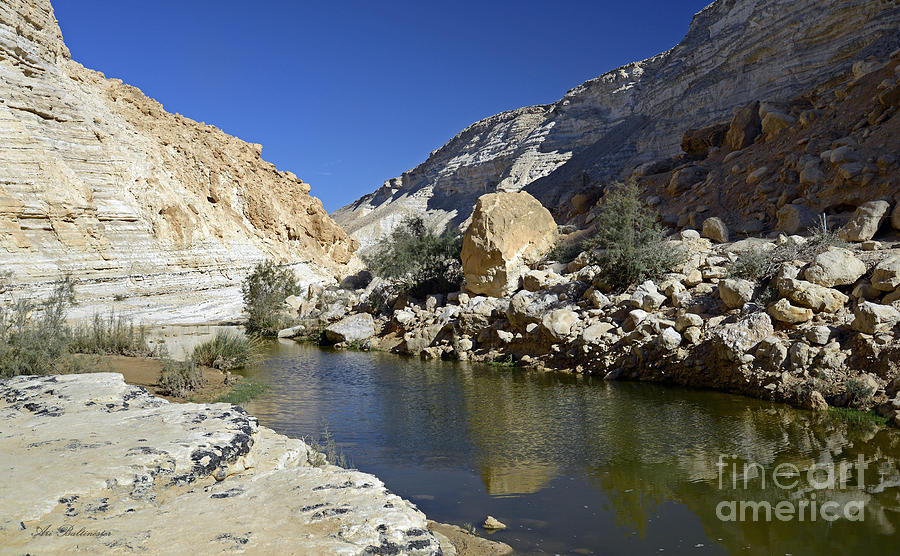 Water in the desert Photograph by Arik Baltinester