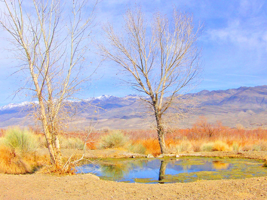 Water In The Desert Photograph by Marilyn Diaz - Fine Art America