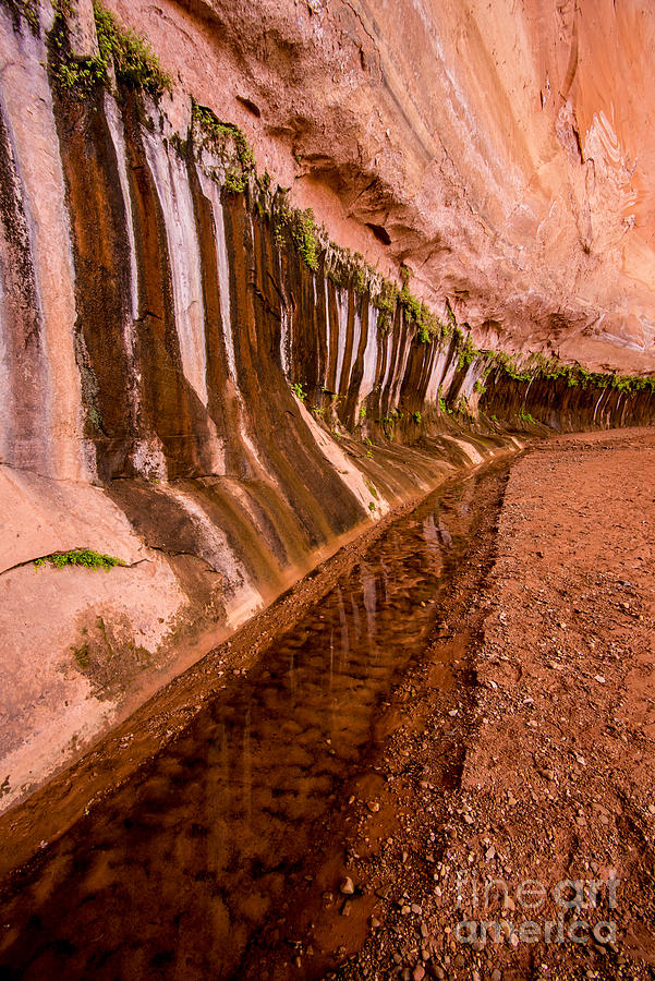 Water is Life - Coyote Gulch - Utah Photograph by Gary Whitton