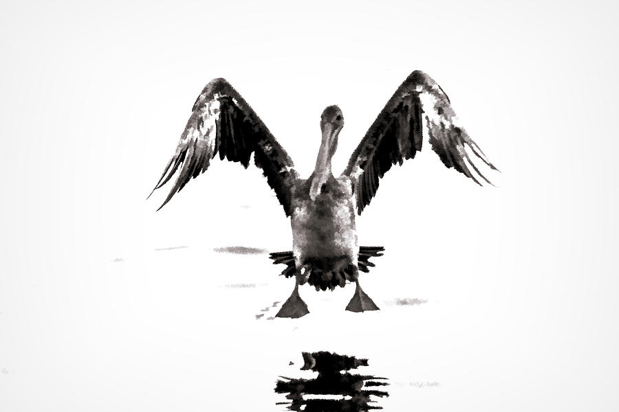 Water Landing Digital Art by Photographic Art by Russel Ray Photos