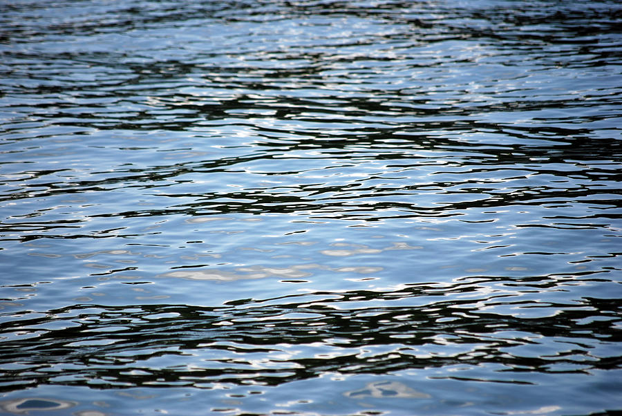 Water Photograph by Larah McElroy