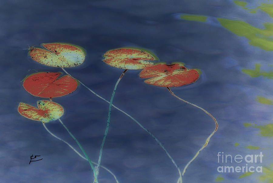 Water Lilies 2 Digital Art by Leo Symon