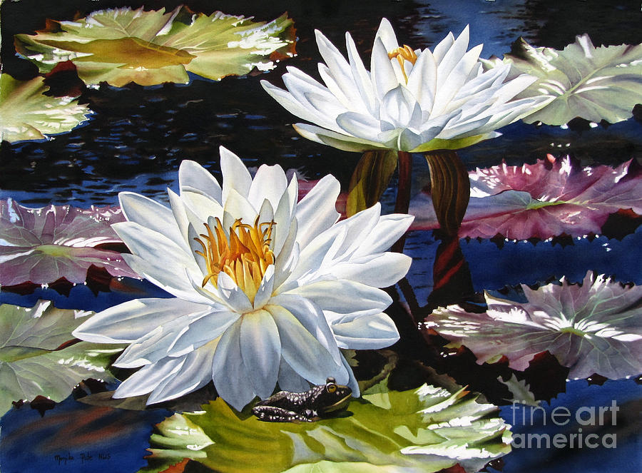 Flower Painting - Water Lilies 5 by Monika Pate