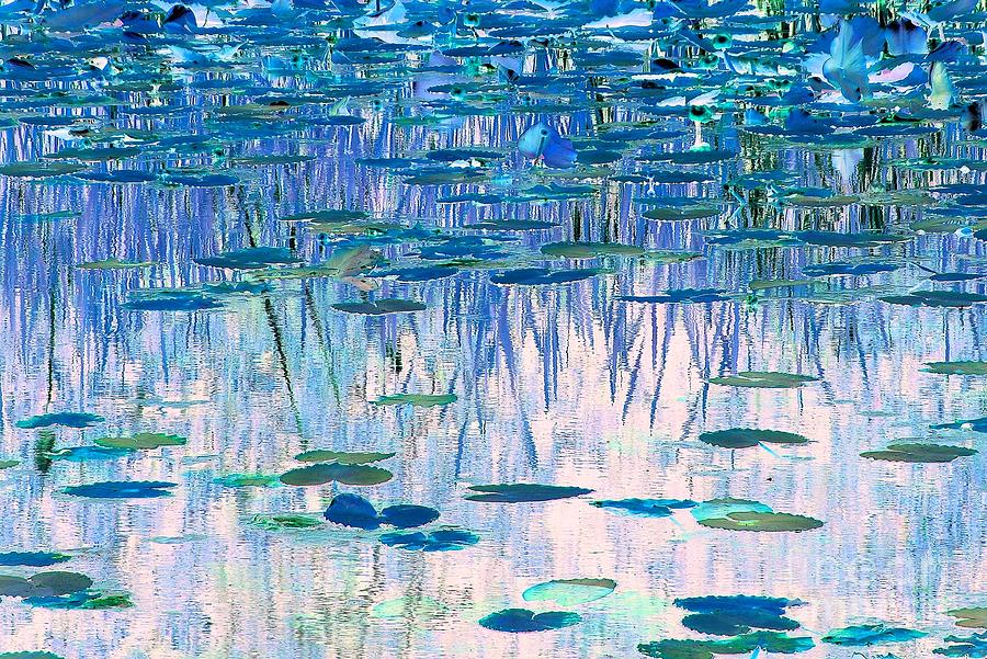Abstract Photograph - Water Lilies by Chris Anderson