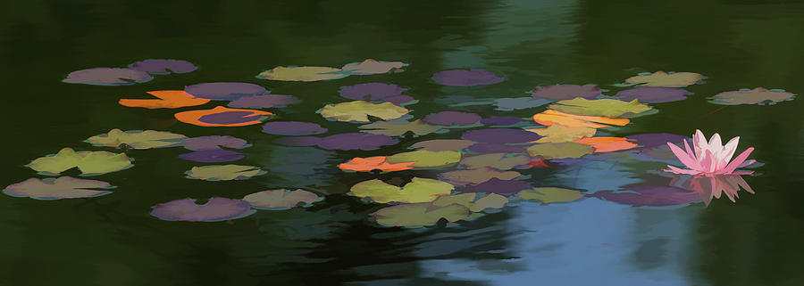 Lily Painting - Water Lilies  Nymphaeaceae  On A Pond by Ron Harris