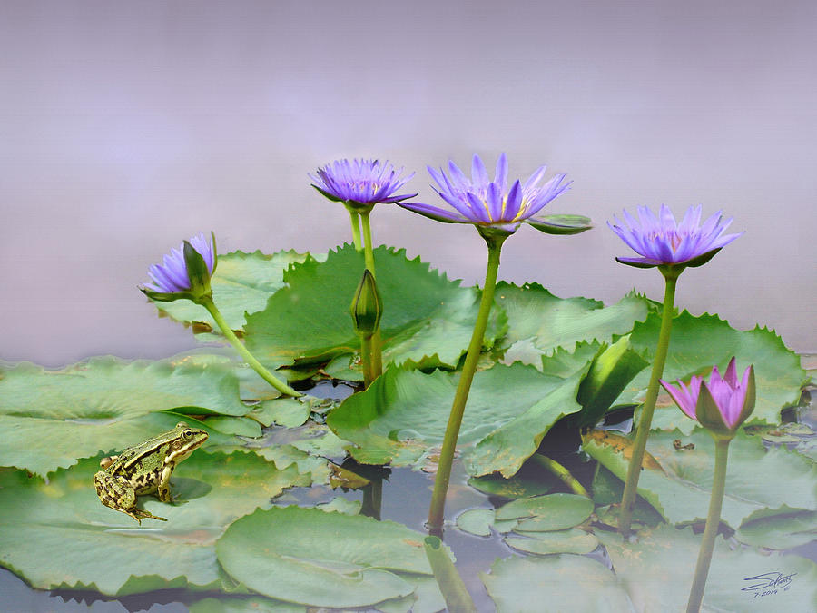 Water Lilies of Vietnam Painting by M Spadecaller