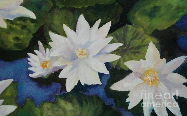 Lily Painting - Water Lilies by Susan M Fleischer