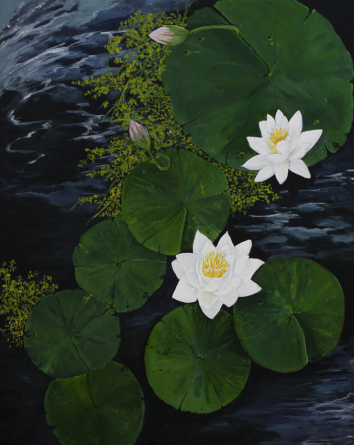 Water Lilies Painting by Virginia McLaren