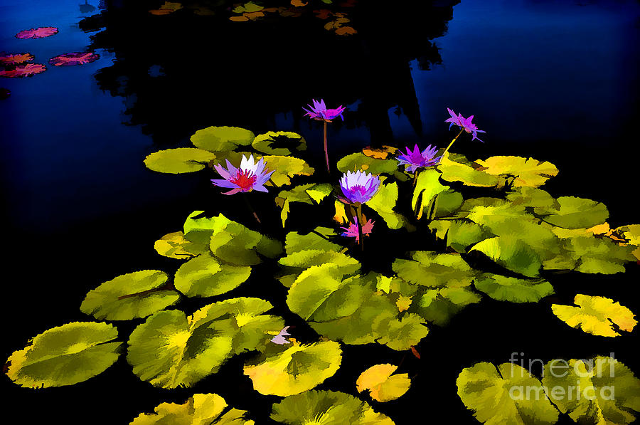 Water Lillies Photograph by Frances Ann Hattier