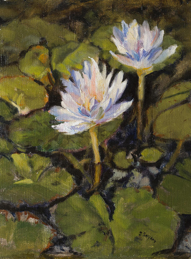 Water Lilly Painting by Joyce Snyder