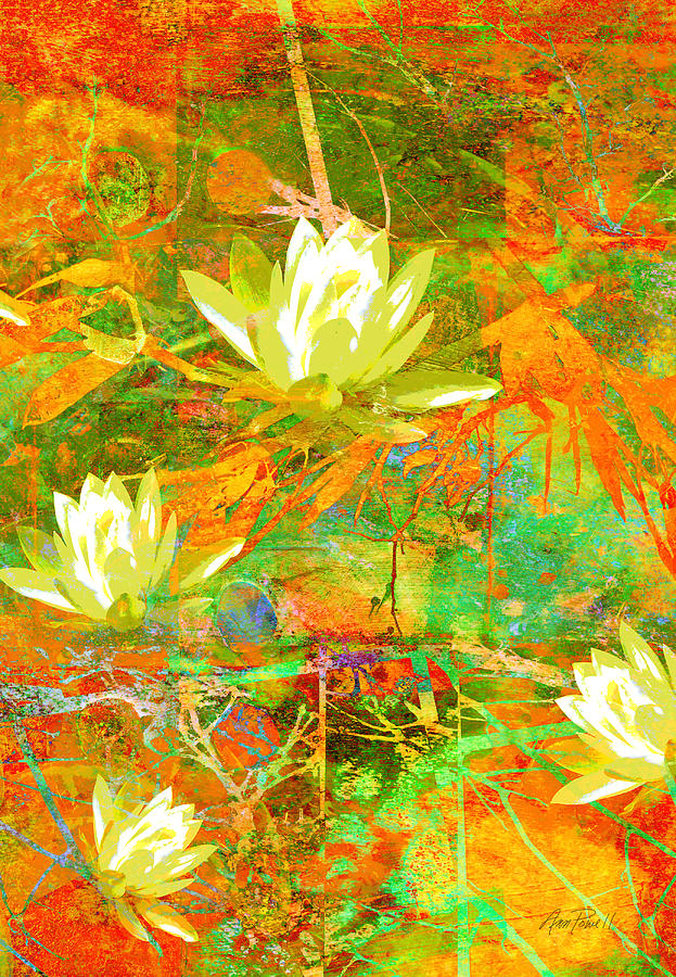 Water Lily Collage abstract flowers  nature art  Digital Art by Ann Powell