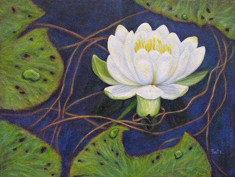 Water Lily Painting by Gay Pautz