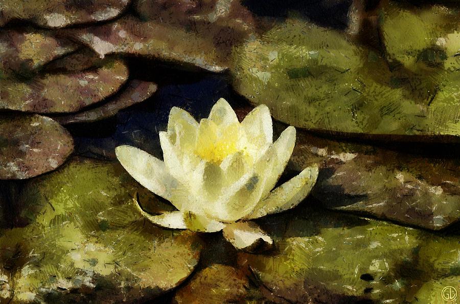 Flowers Still Life Digital Art - Water lily by Gun Legler
