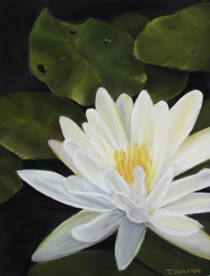 Lily Pastel - Water Lily by Joan Swanson