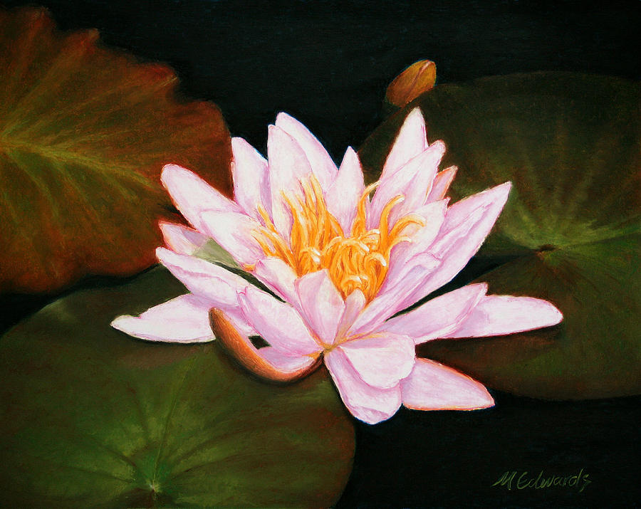 Koi Painting - Water Lily by Marna Edwards Flavell