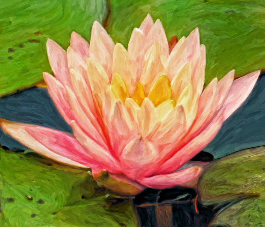 Water Lily Painting by Michael Pickett