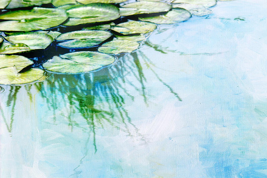 Water Lily Pads Photograph by Rebecca Cozart