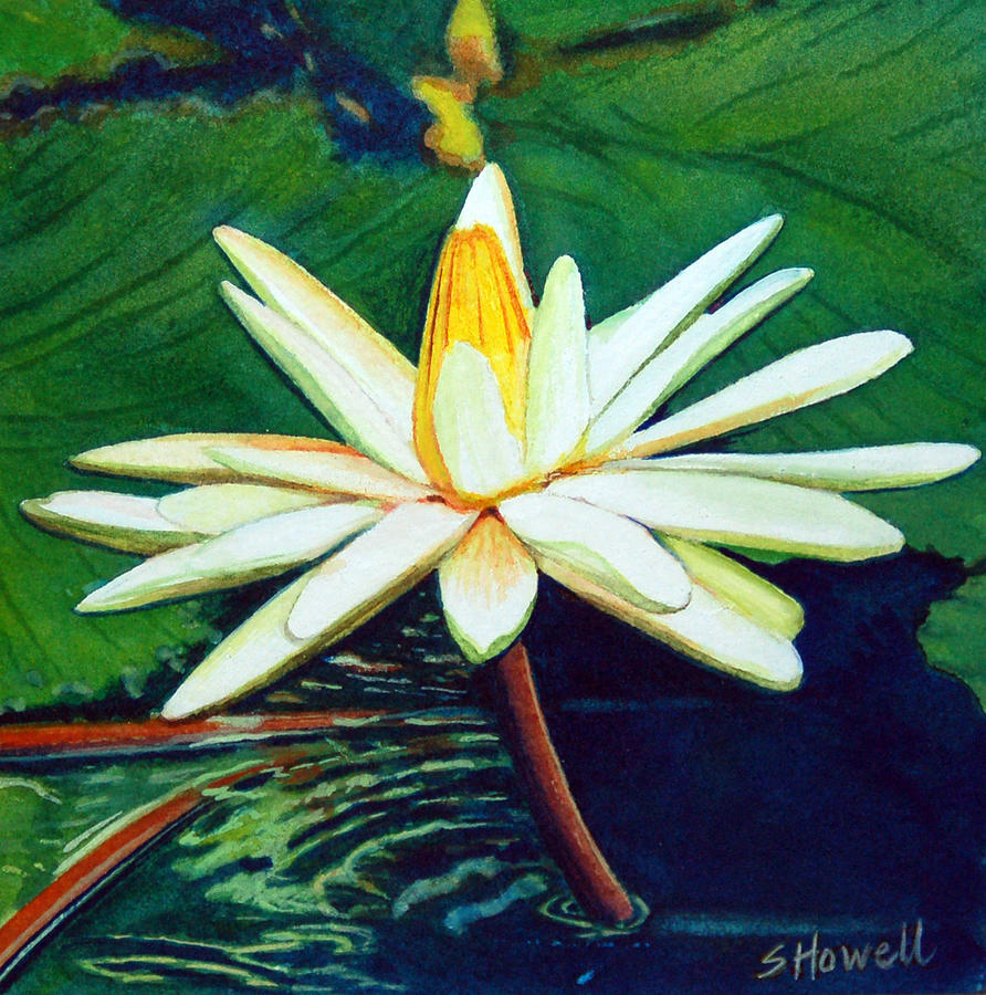 Water Lily Painting by Sandi Howell