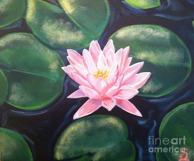 Water Lily Painting by Sarah Lowe Pixels