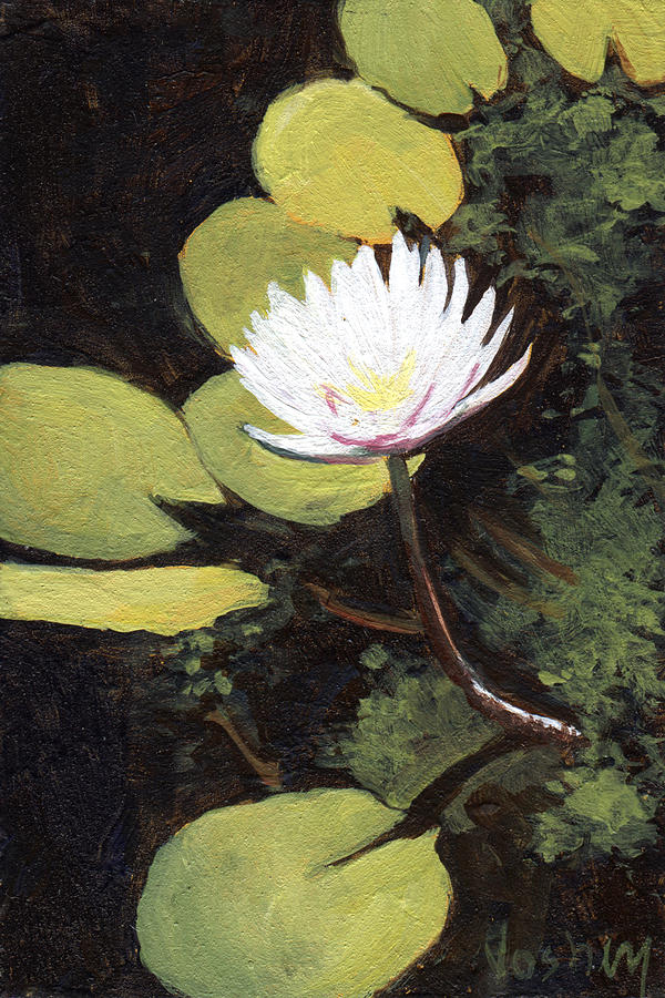 Honolulu Painting - Water Lily by Stacy Vosberg
