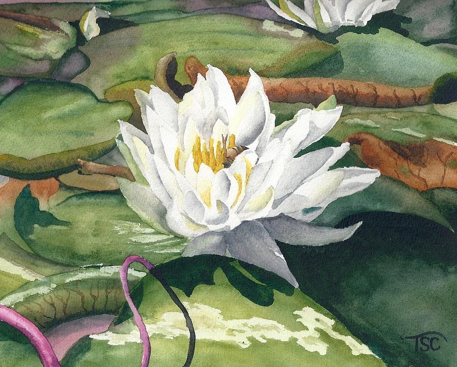 Water Lily Painting by Tammy Crawford