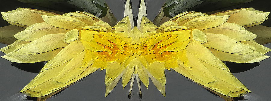 Water Lily Unleashed 4 Digital Art by Tim Allen