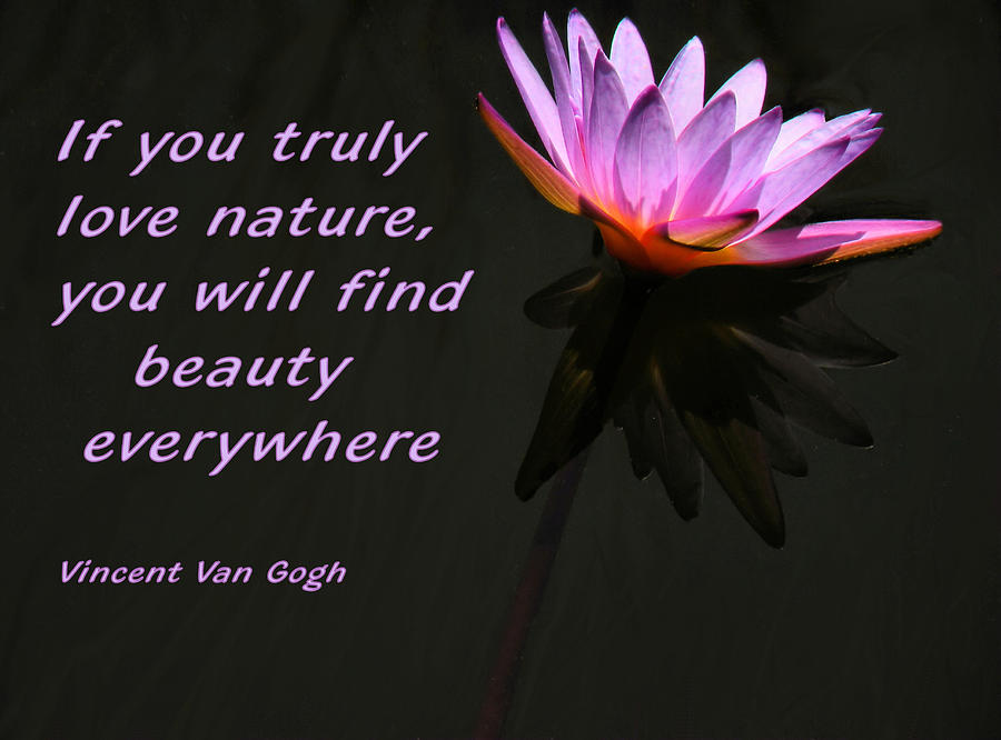 Water Lily With Quote Photograph By Rosalie Scanlon
