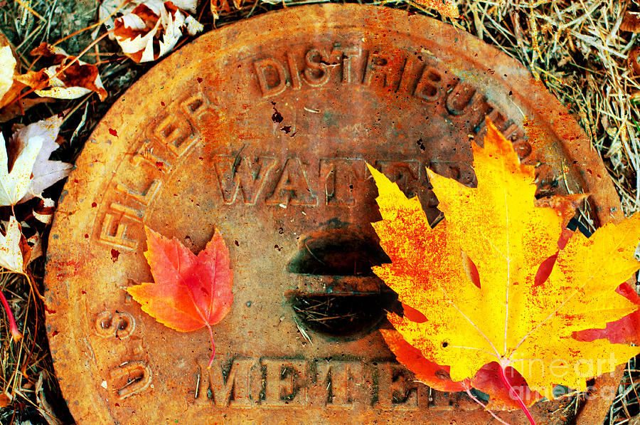 Water Meter Cover With Autumn Leaves Abstract Photograph by Andee Design
