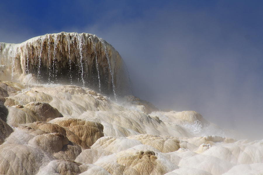 Water Monster Photograph by Daniel Rooney - Fine Art America