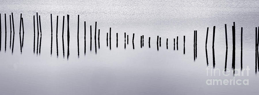 Water Music Photograph by Olivier Le Queinec