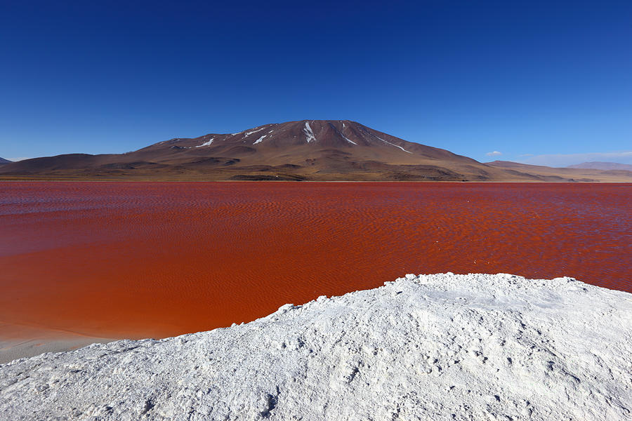 Water on Fire at Laguna Colorada Photograph by James Brunker