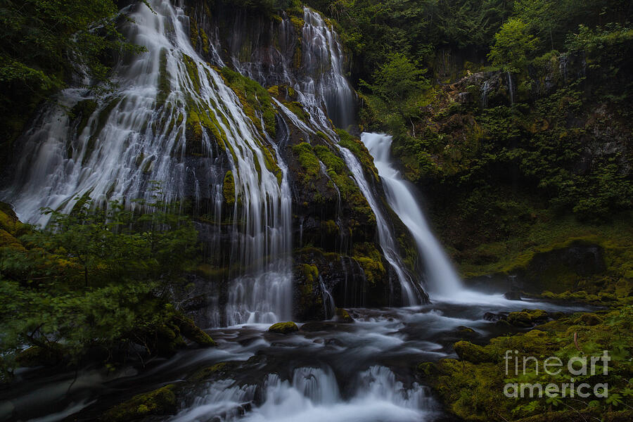 Panther Creek Falls Water Past Moss and Rocks Photograph by Mike Reid