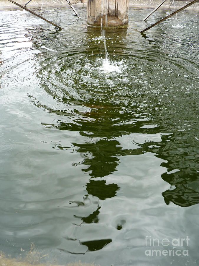 Water Reflection Photograph by Eva-Maria Di Bella